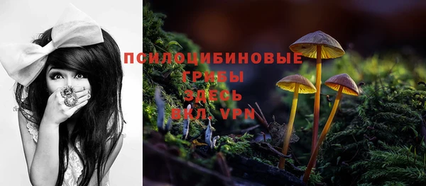 бошки Киренск